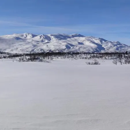 Gronlid Apartamento Rauland