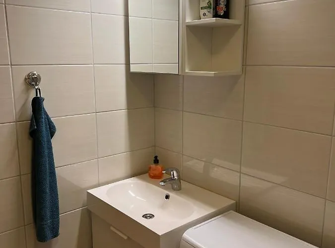 Gronlid Apartament Rauland