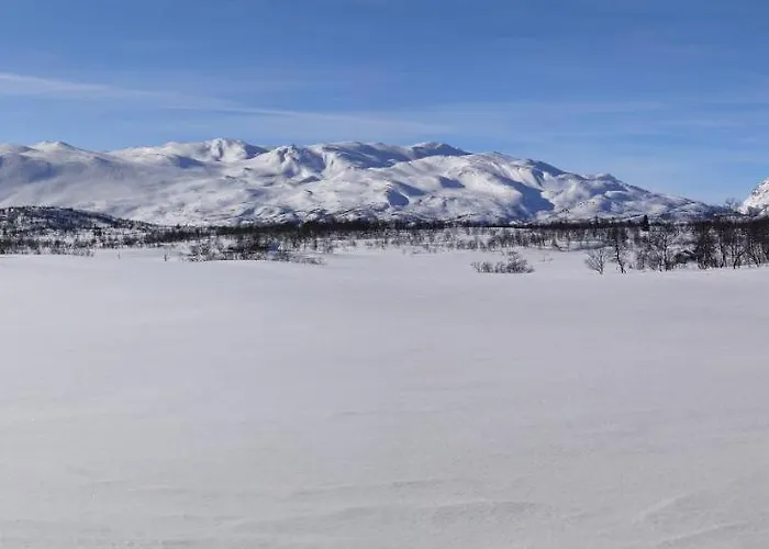 Gronlid Apartament Rauland